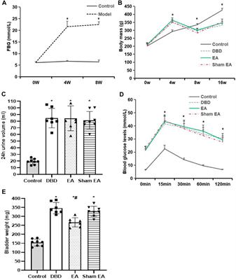 Effects of electroacupuncture on bladder dysfunction and the expression of PACAP38 in a diabetic rat model